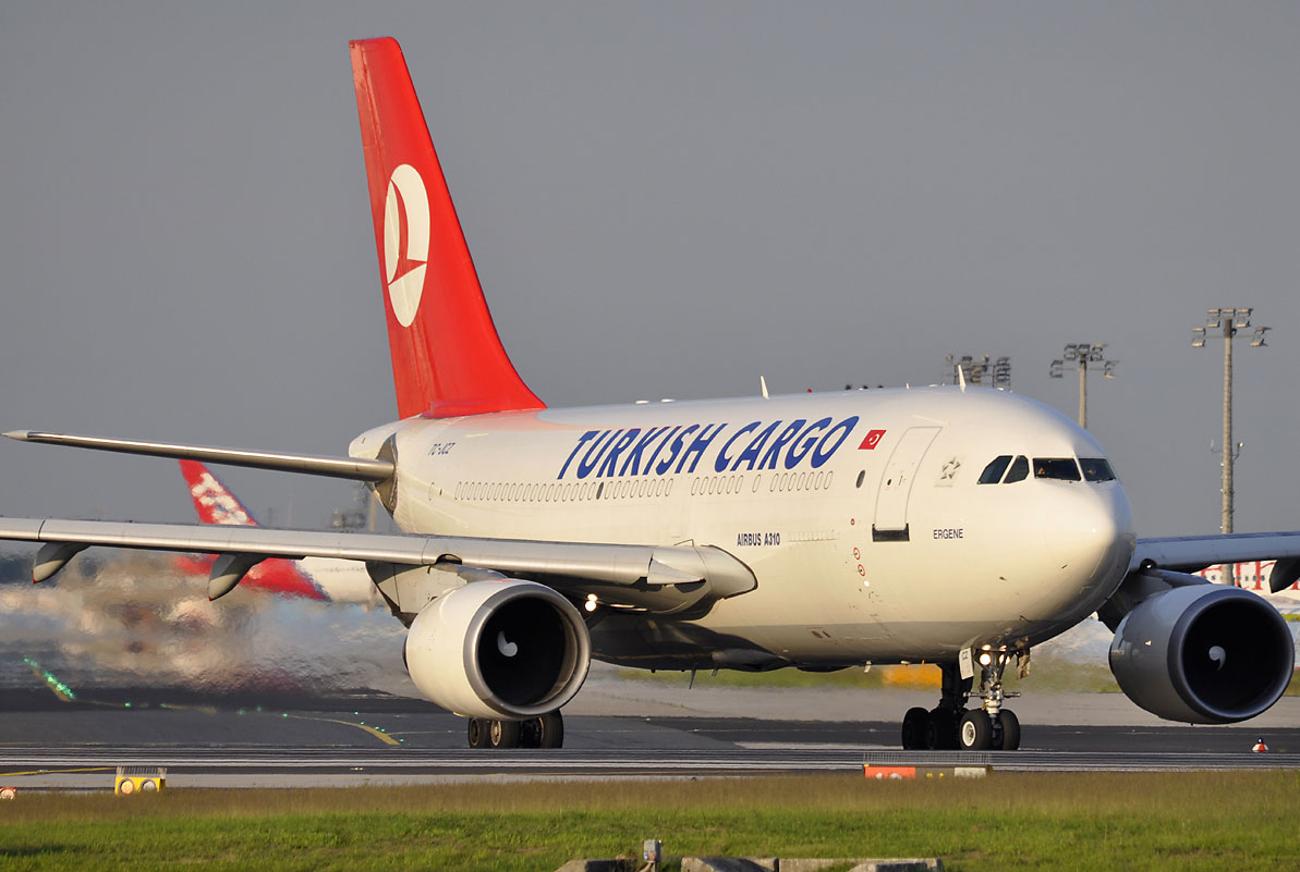 Airbus A310-300