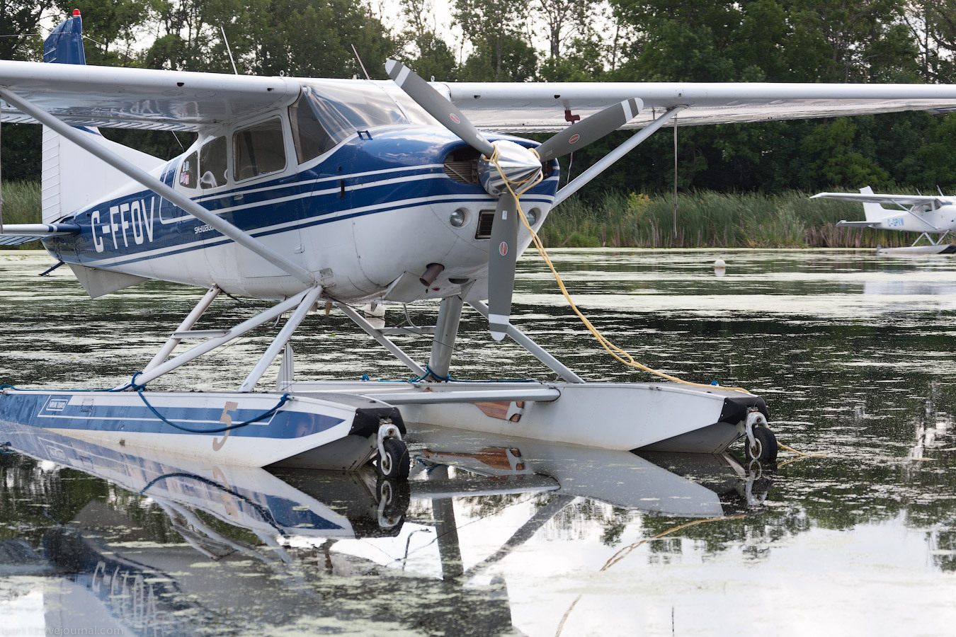 Cessna 180 Skywagon